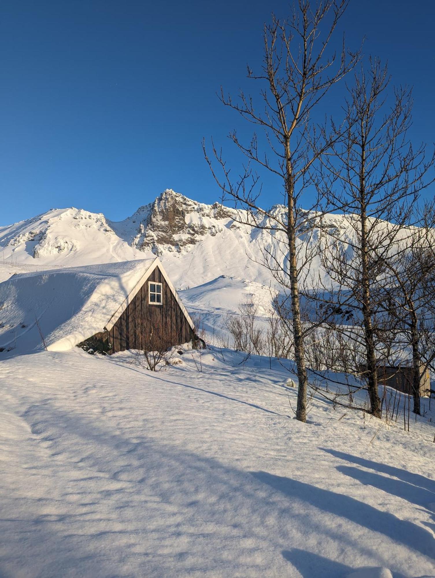 Vik Hostel Экстерьер фото